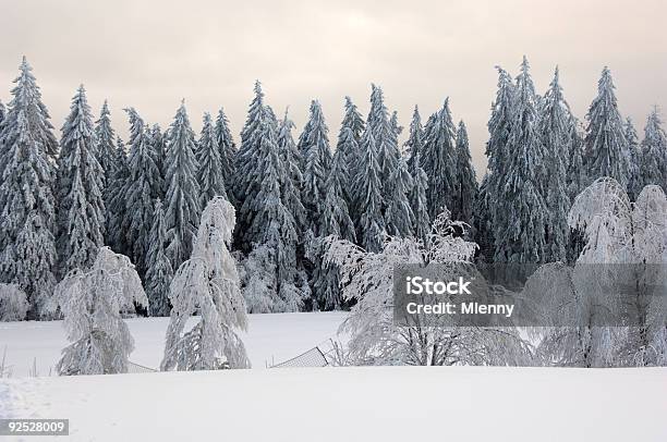 Photo libre de droit de Paysage Dhiver Avec La Forêt Noire Allemagne banque d'images et plus d'images libres de droit de Aiguille - Partie d'une plante - Aiguille - Partie d'une plante, Allemagne, Arbre