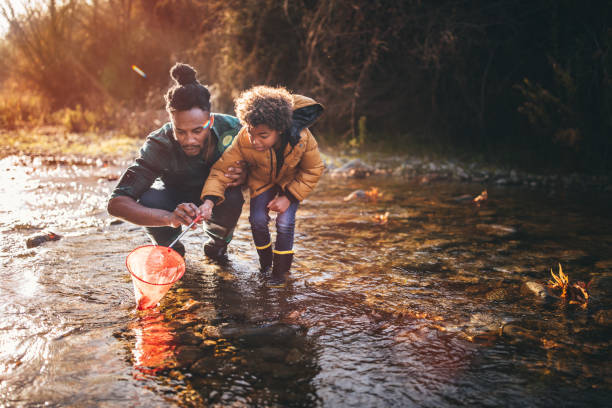 Father and son fishing with fishing net in river Young dad teaching son how to fish with fishing net in mountain stream at sunset outdoor pursuit stock pictures, royalty-free photos & images