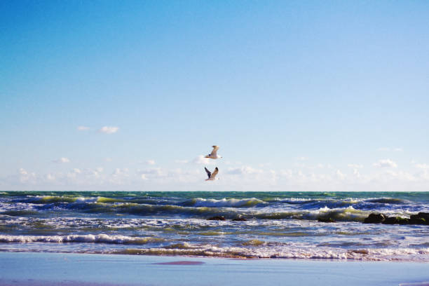 istock Donnalucata (Ragusa), Sicily: Winter Beach Scene with Seagulls 925284766