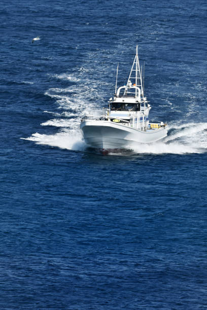 istock Fishing boat in Tokyo Bay 925287692