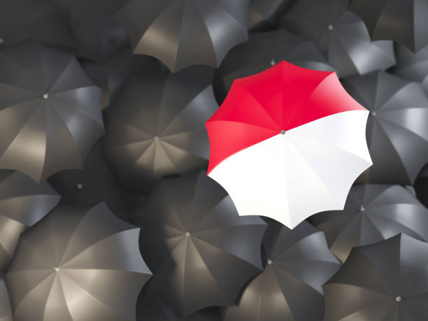 istock Umbrella with flag of indonesia 925287754