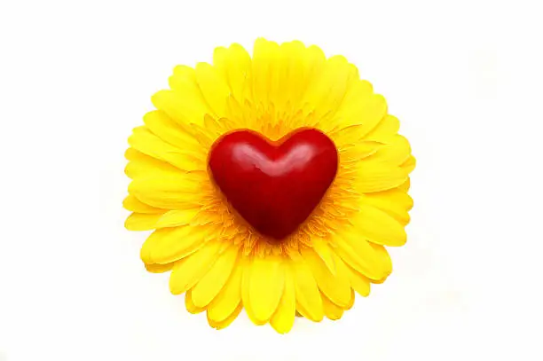 Red stone heart on a bright yellow flower. Zoom in for details.