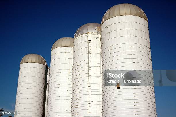 Quatro Silos Branco - Fotografias de stock e mais imagens de Agricultura - Agricultura, Alto - Descrição Física, Azul