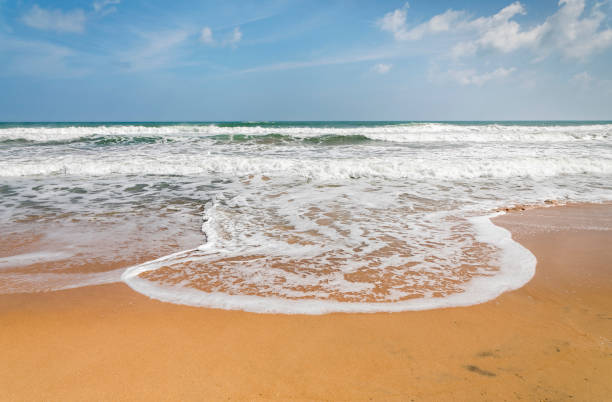 istock Beach and the Indian Ocean 925294780