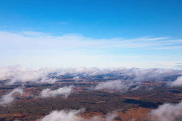 Top view above the autumn impassable swamps Flight above clouds over impassable swamps in the autumn impassable limit stock pictures, royalty-free photos & images