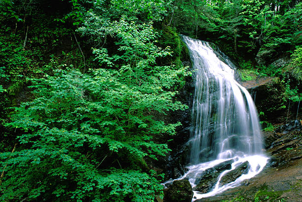 pogoda wodospad - beauty in nature clean cool stream zdjęcia i obrazy z banku zdjęć
