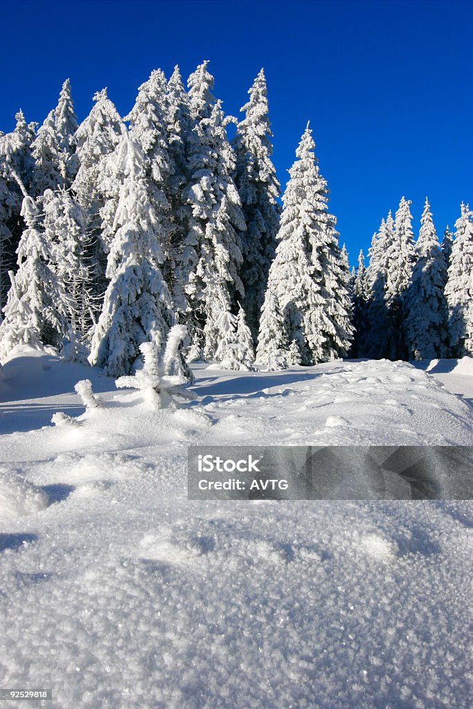 冬景色 III - ベンドのロイヤリティフリーストックフォト