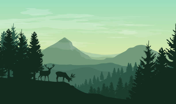 wektorowy krajobraz atmosferyczny z sylwetkami gór, wzgórz, lasu i dwóch karków - elk deer hunting animals hunting stock illustrations