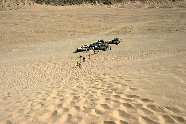 désert de marche - tire track egypt track africa photos et images de collection