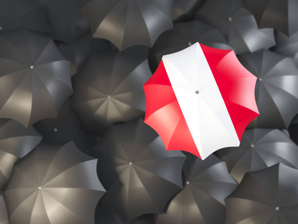 istock Umbrella with flag of peru 925302270