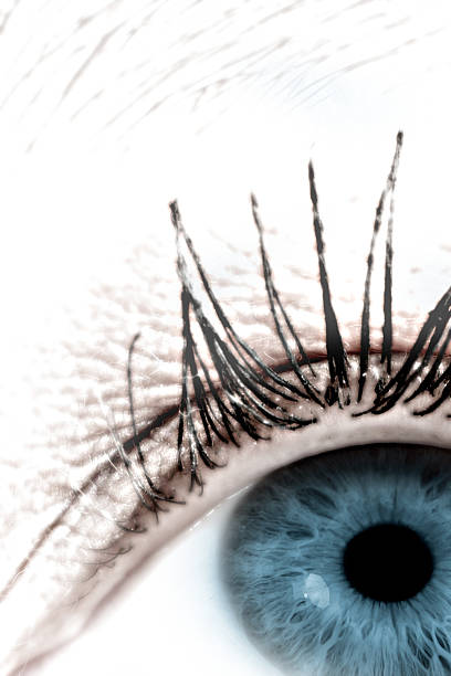 istock Extreme close-up of a realistic blue eye 92530251