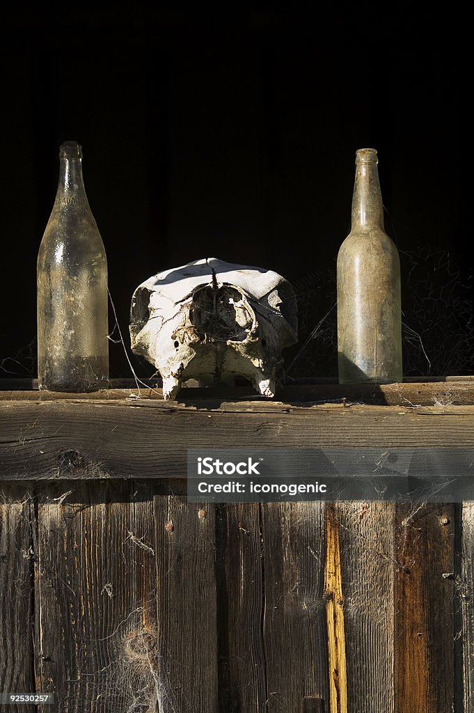 Bottles And Dead head  Spider Web Stock Photo