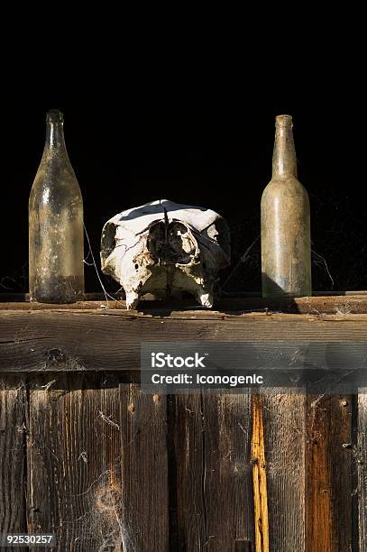 Bottles And Dead Head Stock Photo - Download Image Now - Spider Web, American Culture, Animal Head