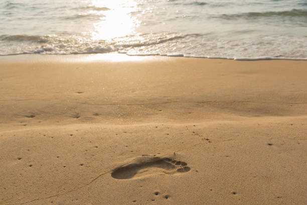 istock A footprint on the beach 925303770