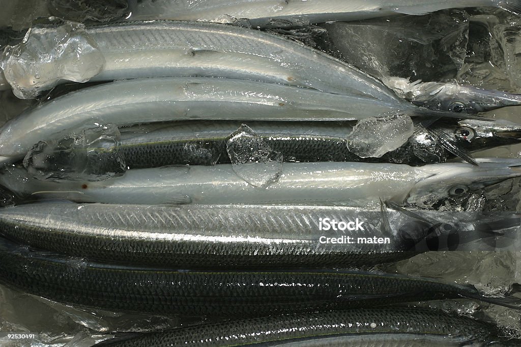 Spearfishes - Foto de stock de Animal morto royalty-free