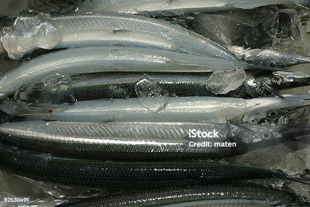 Foto de Spearfishes e mais fotos de stock de Animal morto - Animal morto, Cauda, Comida japonesa