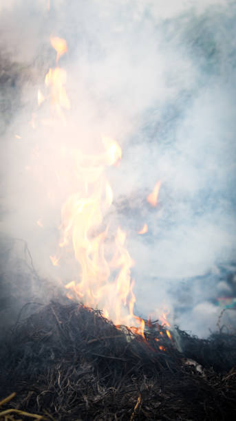 istock Flame of fire burning and smog on dark background 925306980