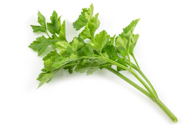 Fresh green parsley, herbs isolated on a white background with a clipping path. Fresh green parsley, herbs isolated on a white background with a clipping path. relish green food isolated stock pictures, royalty-free photos & images