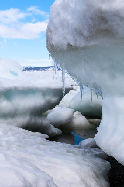 istock Pack ice in the spring in Conception Bay, Newfoundland and Labrador, Canada 925308124