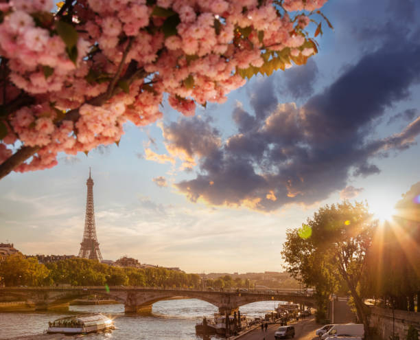 istock Paris with Eiffel Tower against spring tree in France 925308970