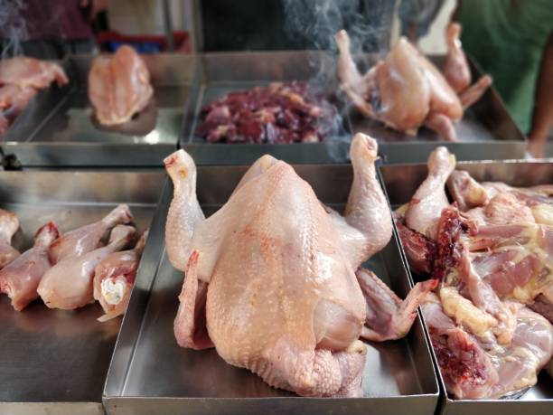 carne de pollo fresca - dead animal butcher meat sheep fotografías e imágenes de stock