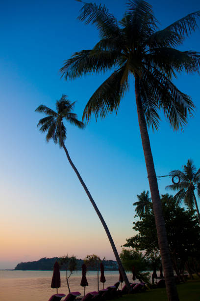 Right before the sun is coming up. View from resort.