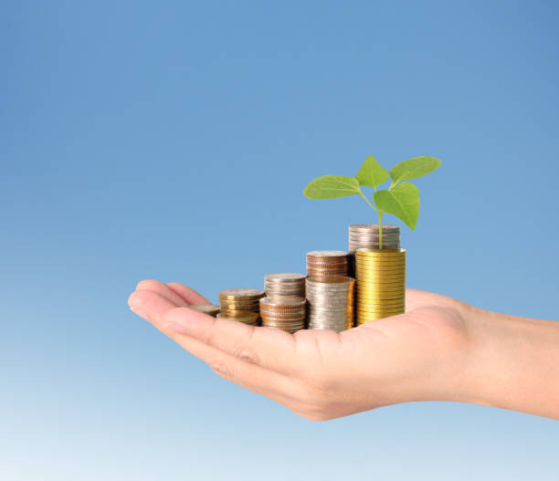 istock Hand human hand putting coin to money 925319850