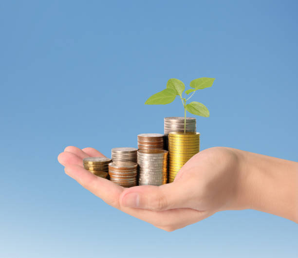 istock Hand human hand putting coin to money 925319854