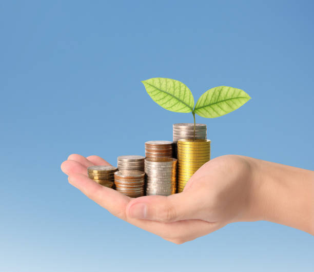 istock Hand human hand putting coin to money 925319862