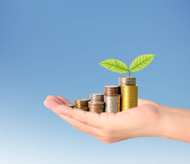 istock Hand human hand putting coin to money 925319868