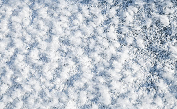 istock Close up photo of surface hoar 925320870