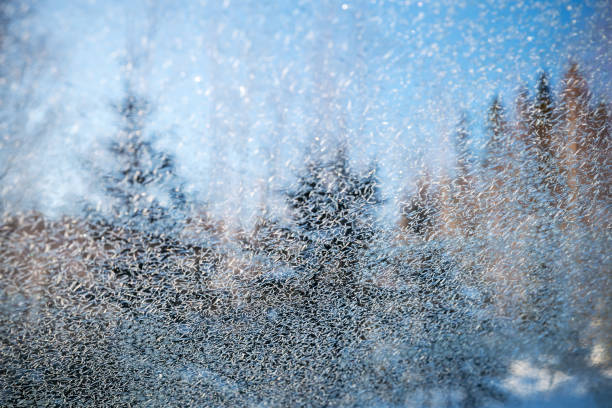 Window frost. Ice crystals pattern on frozen glass with blurred forest landscape background