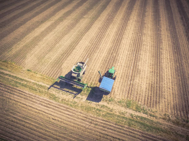 istock Aerial view field after crop with harvester machines 925323774