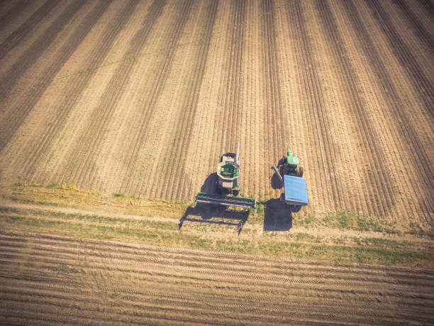 istock Aerial view field after crop with harvester machines 925324554