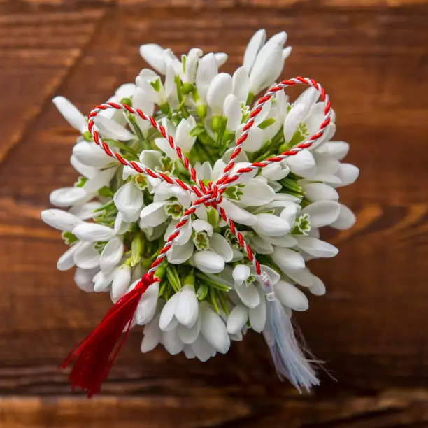 Snowdrops and red and white string martisor on wood with copy space east european first of march tradition celebration