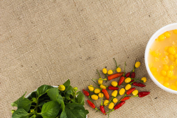 Typical amazonian cuisine spices selection: Jambu (regional herb), pepper sauce with tucupi (a liquid extracted from cassava root), and assorted colorful peppers. Exotic gastronomy concept
