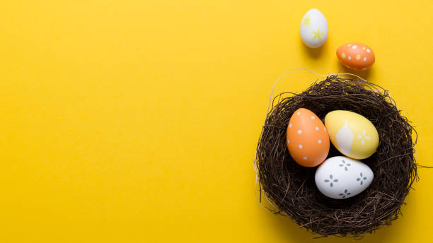 istock Happy easter decoration background, eggs in the nest 925336698