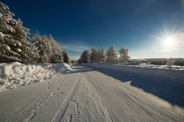 istock winter in Lapland, Sweden, Norrbotten 925341328