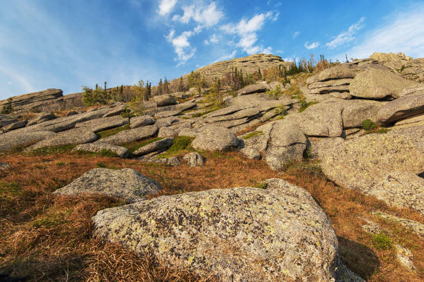 Landscape of the Lessinia Plateau (Altopiano della Lessinia), in autumn with brown meadow and karst rocks, Regional Natural Park in Verona Province, Veneto, Italy, Europe.