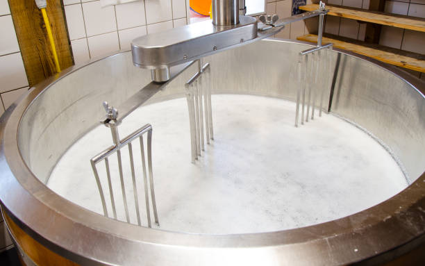 istock Cheese production in the countryside 925345980