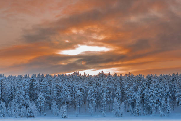 istock winter in Lapland, Sweden, Norrbotten 925349218