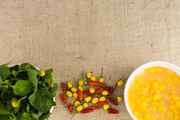 Typical amazonian cuisine spices selection: Jambu (regional herb), pepper sauce with tucupi (a liquid extracted from cassava root), and assorted colorful peppers. Exotic gastronomy concept