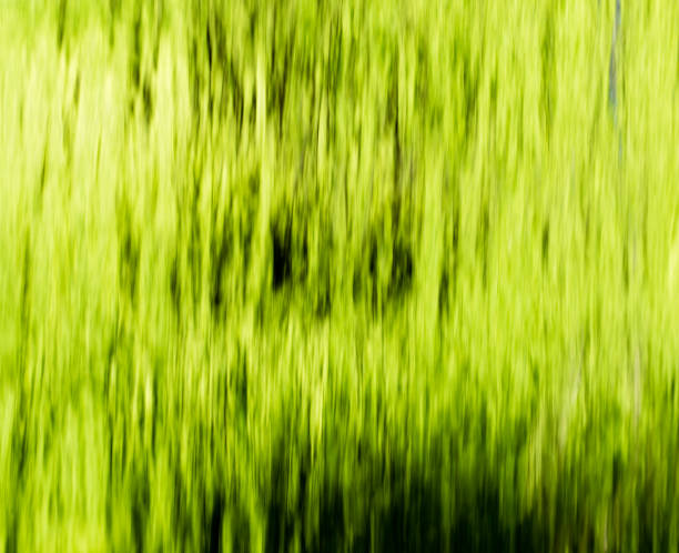 istock Wall from water falls on nature as background 925353456