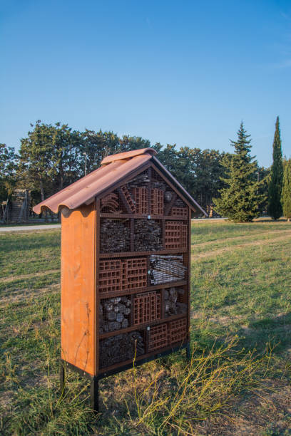 istock Insects house in a park 925367410