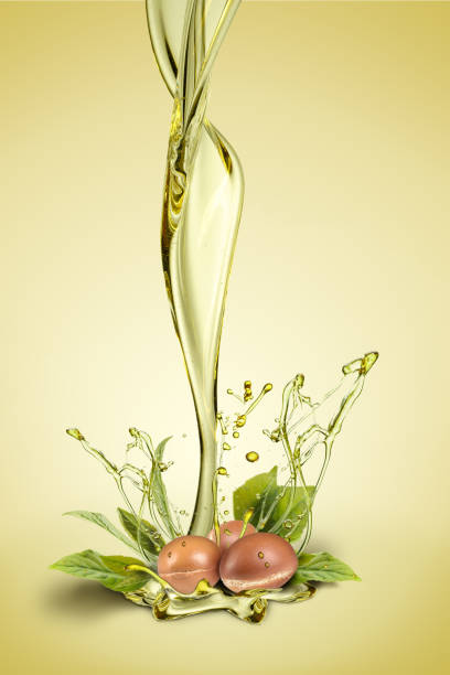 Argan fuits and leave with oil splash on green background stock photo