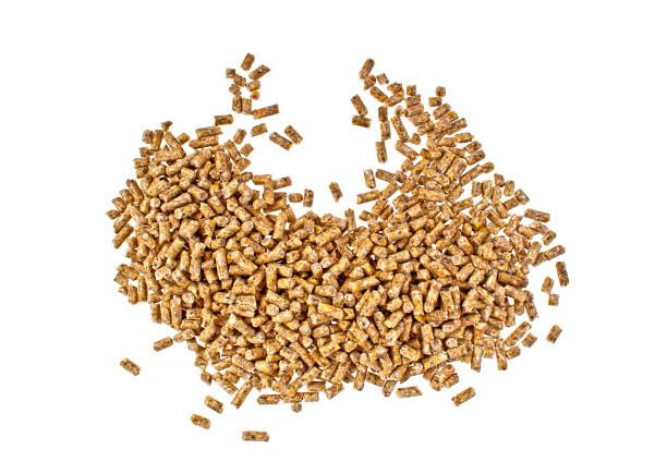 istock Pile of compound feed pellets isolated on white background 925384432
