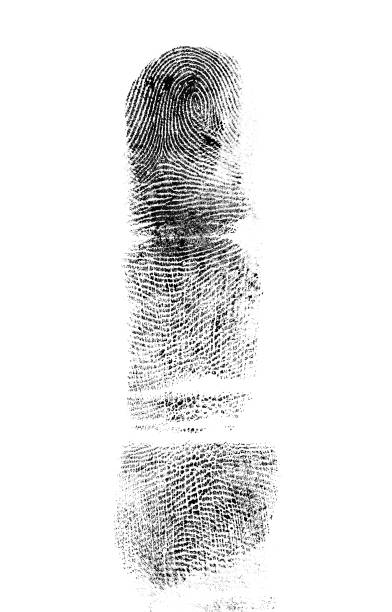 istock Fingerprint of the index finger on a white background 925385220