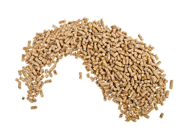 Pile of compound feed pellets isolated on white background