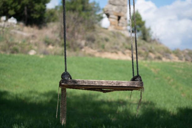 istock Tree branch swing rope hanging from tree close up 925386654