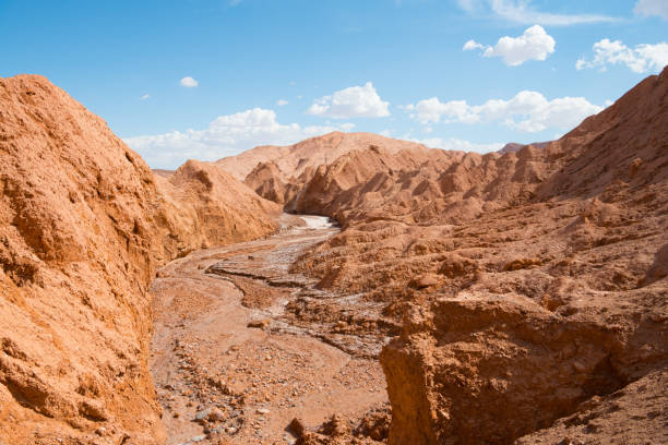 Dry riverbed - Valle de Marte (Mars Valley ) - Atacama desert - volcanic landscape